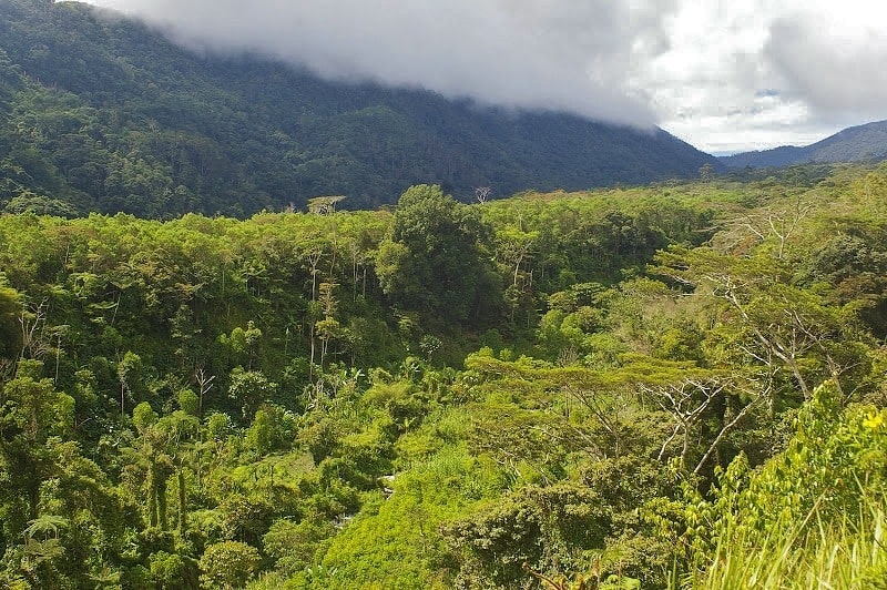 Arfak landscape view